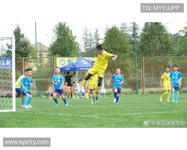 追随绿茵巨星背影见证拼搏与荣耀时刻